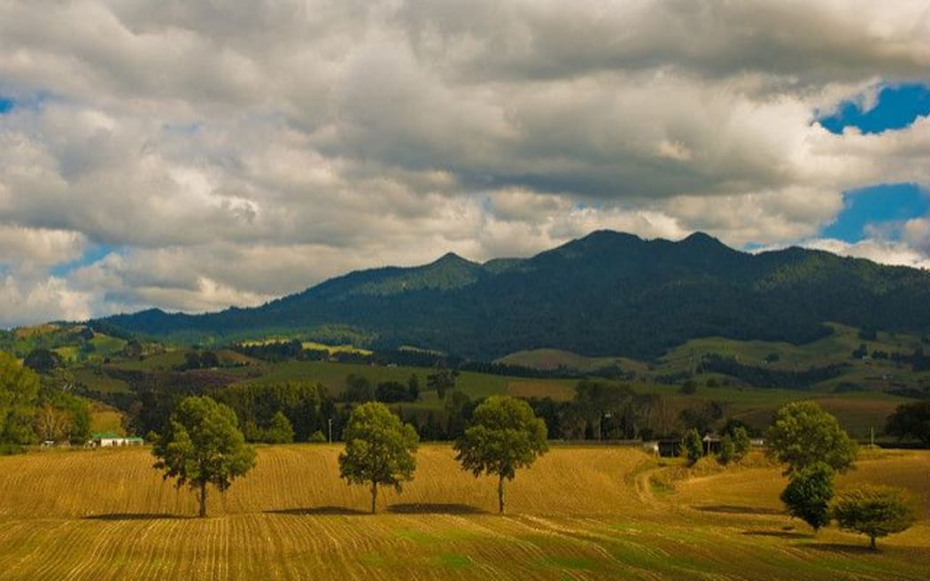Mt Pirongia