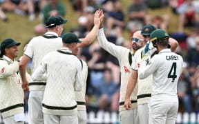 Australia's Nathan Lyon and team mates celebrate another scalp.