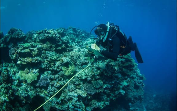 Underwater research at Hunga Tonga-Hunga Ha'apai.