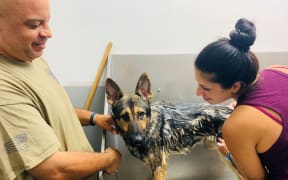Dr Kristine Decina (right)and Senior Trainer Dave Smith with Bolo the dog