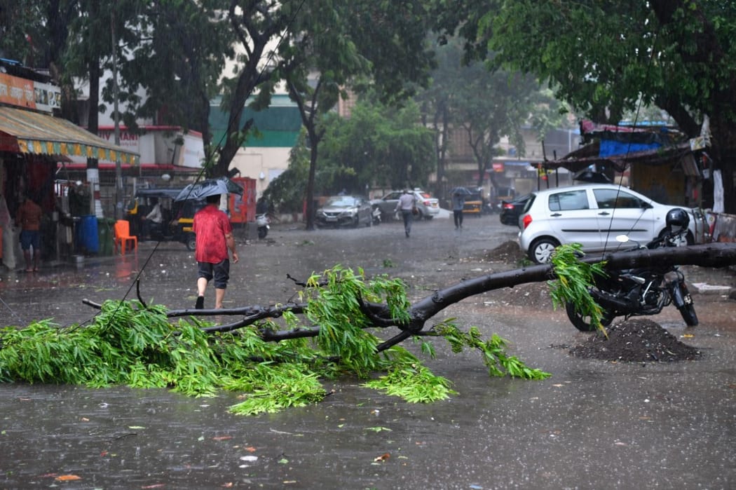 A man walks past a fallen tree on a street following heavy rains from Cyclone Tauktae in Mumbai on May 17, 2021. (Photo by INDRANIL MUKHERJEE / AFP)