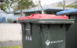 Recycling and rubbish bins outside Penny Bright’s Auckland home.