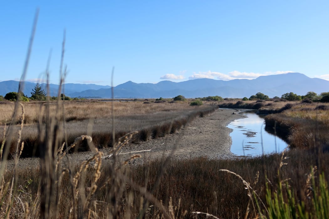Land north of Marlborough's Wairau Bar is home to more than 30 archaeological sites, but iwi say they are not protected by a new environment plan.
