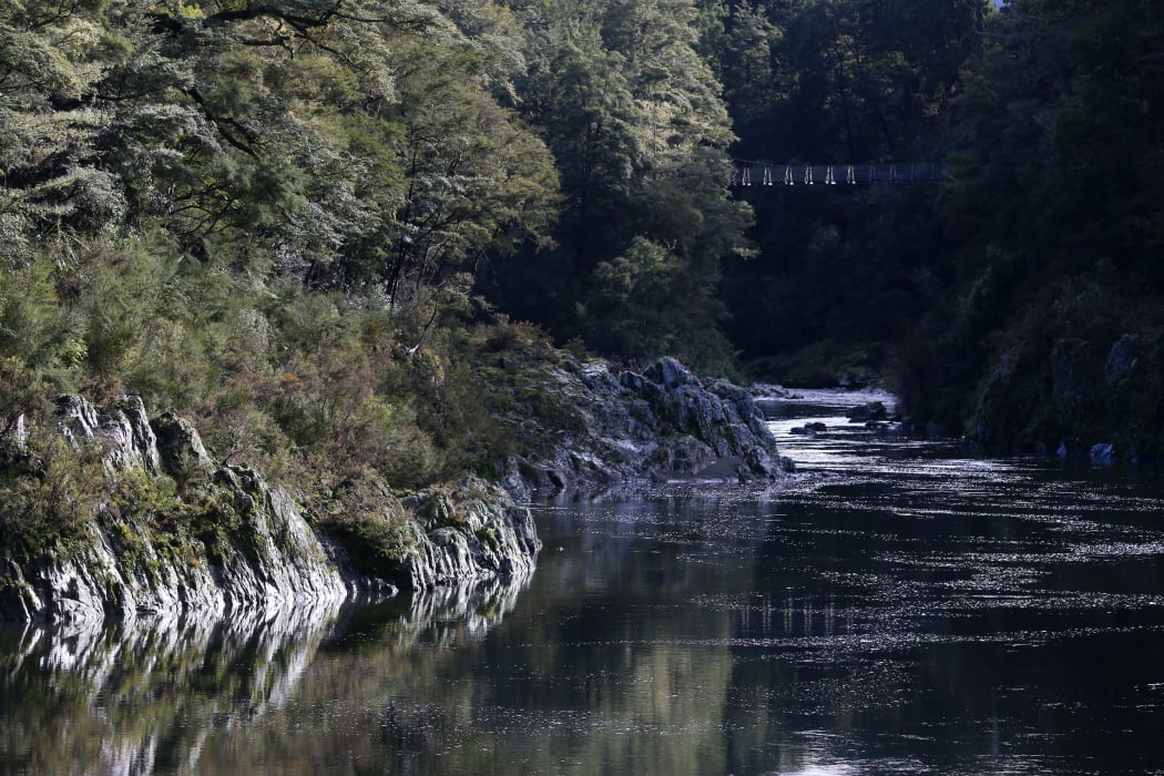 The Te Hoiere/Pelorus Catchment Restoration Project is one example of a collaborative approach to freshwater management under way in the top of the south.