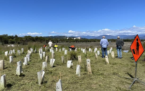 Jobs for Nature scheme transforms Hokitika whitebait spawning area | RNZ