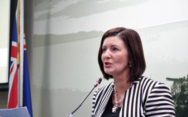 Former Nelson mayor Rachel Reese confronted by terrifying intruder who ...