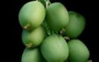 Kiwiberry