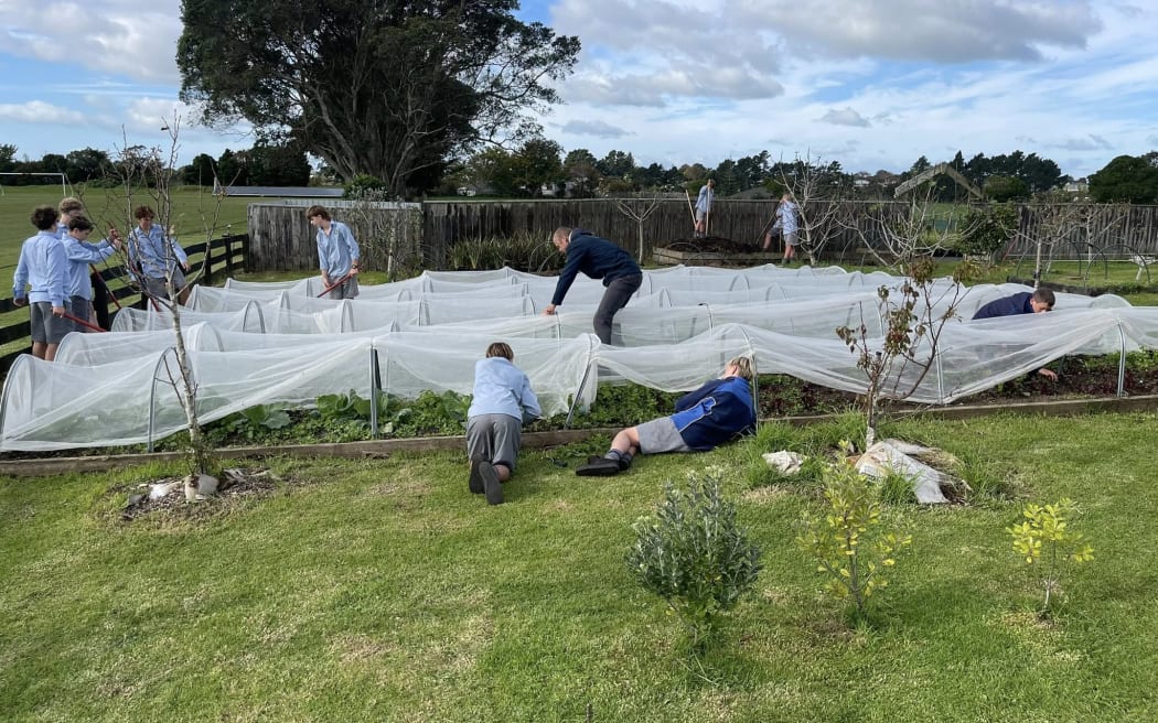 More than half of all students at Francis Douglas Memorial College in New Plymouth take a primary industries subject. They practise their learning on the 20-hectare school farm and have a contract with a local district council to grow 10,000 plants.