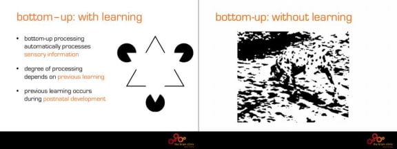 4qx4pj8 gallery image 3764