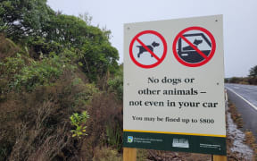 Signs clearly state no dogs are allowed in Tongariro National Park