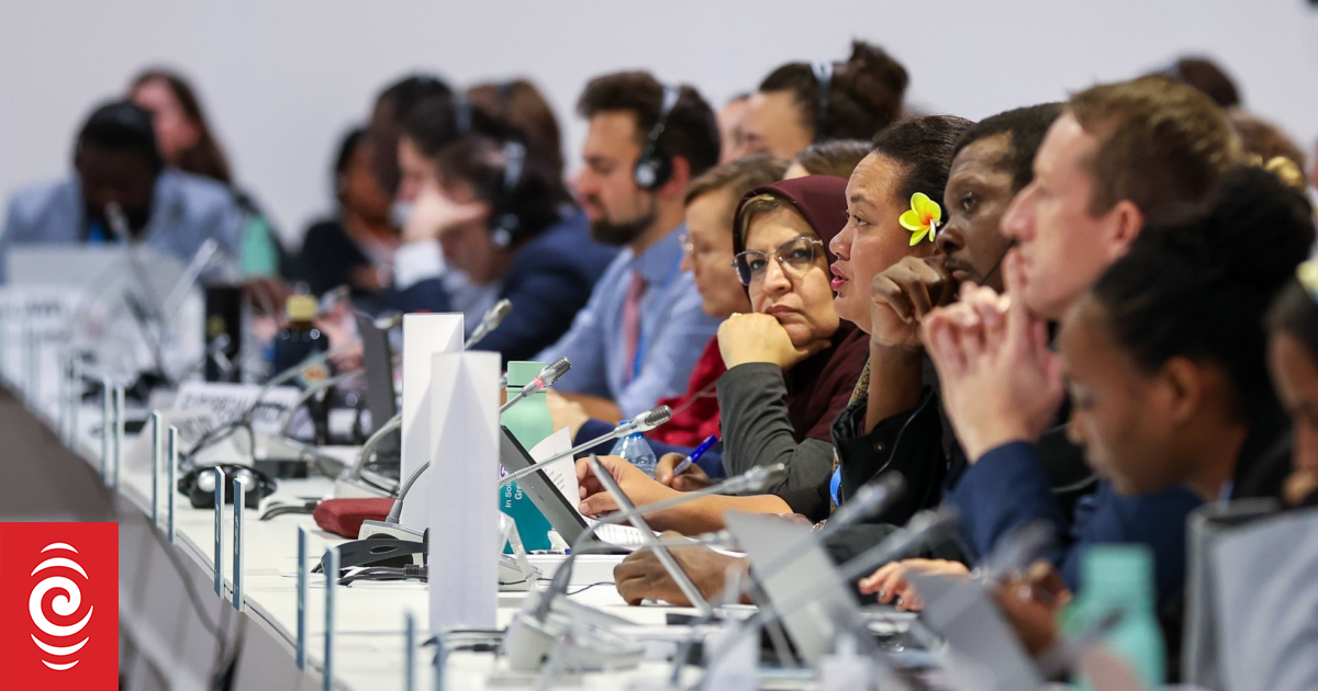 COP29: Pacific negotiators frustrated by 'slow process' of climate talks