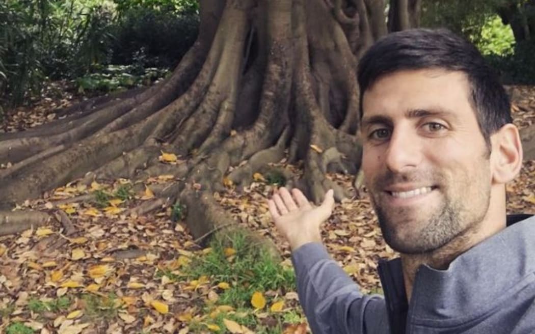 Novak Djokovic and special Melbourne tree