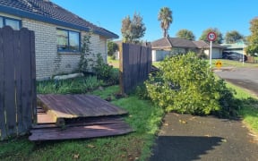 Properties are damaged and trees are down following a tornado that ripped through Auckland's East Tamaki on 9 April.