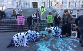Extinction Rebellion protesters at Parliament today.