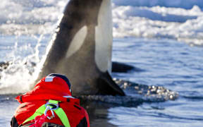 Orca and Regina Eisert, edge of sea ice at Scott Base