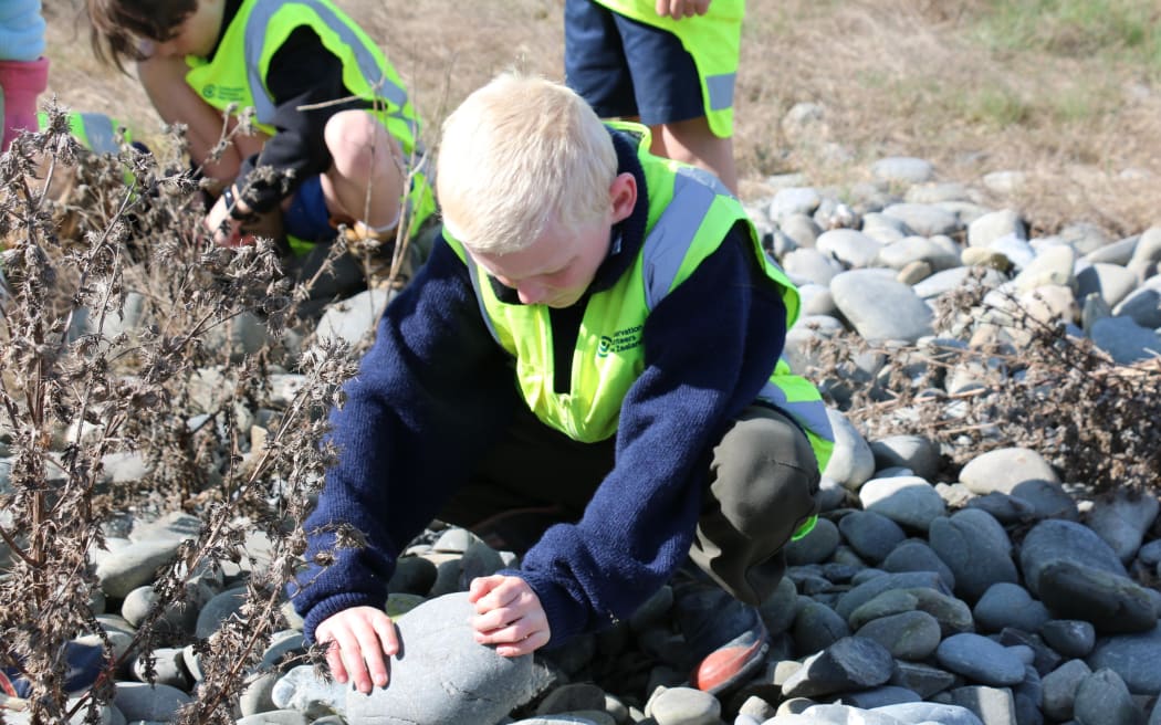 The Eyrewell skink habitat restoration school day