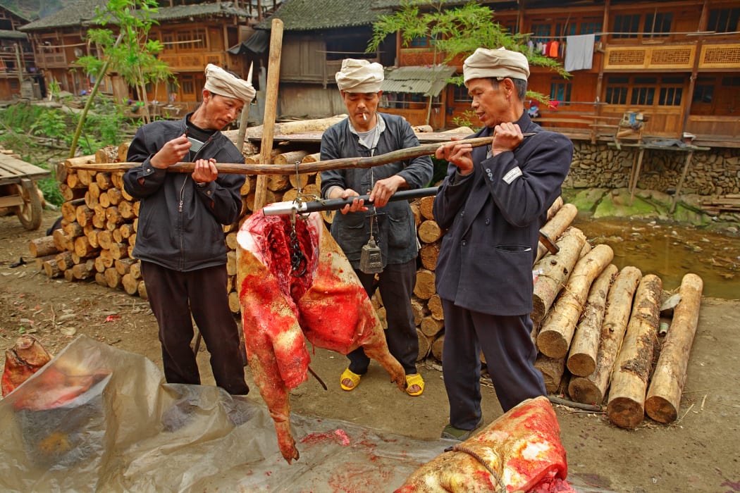Farmers weigh swine carcasses in Guizhou province, South China.