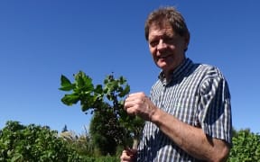 Tony Howey, a blackcurrant farmer in Canterbury.