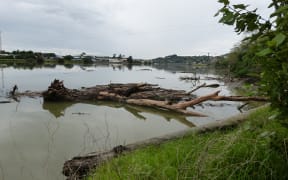 Views of the Whanganui River from the Putiki bank where the kura is located.