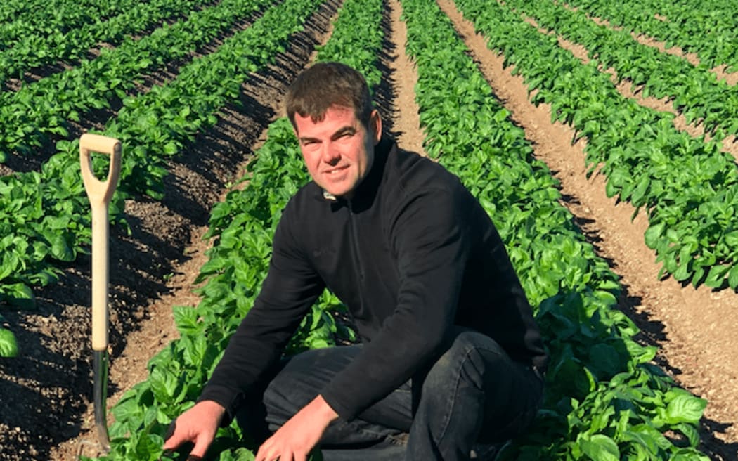 Robin Oakley is one of a long line of Oakleys that have grown vegetables in West Melton since the 1870s.