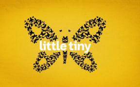 Little Tiny Logo (Supplied)