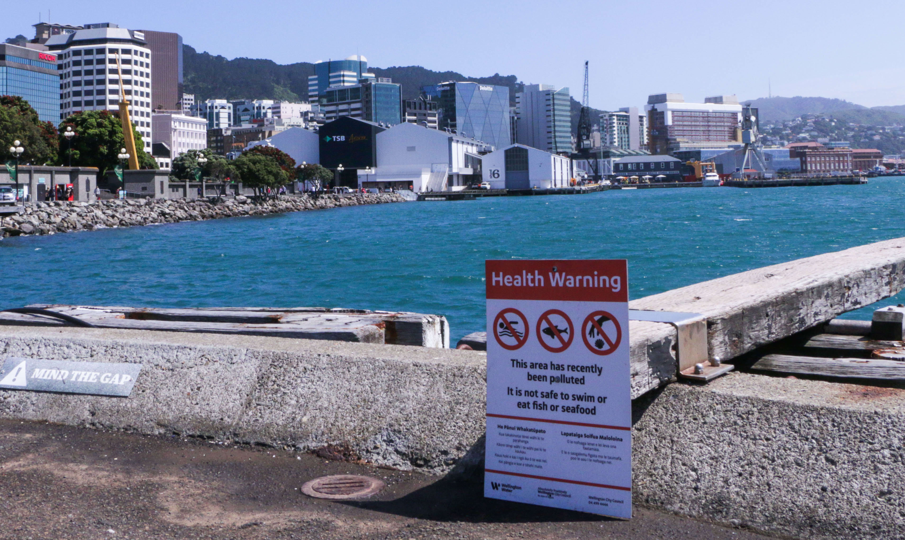 Wellington Sewage pipe blockage