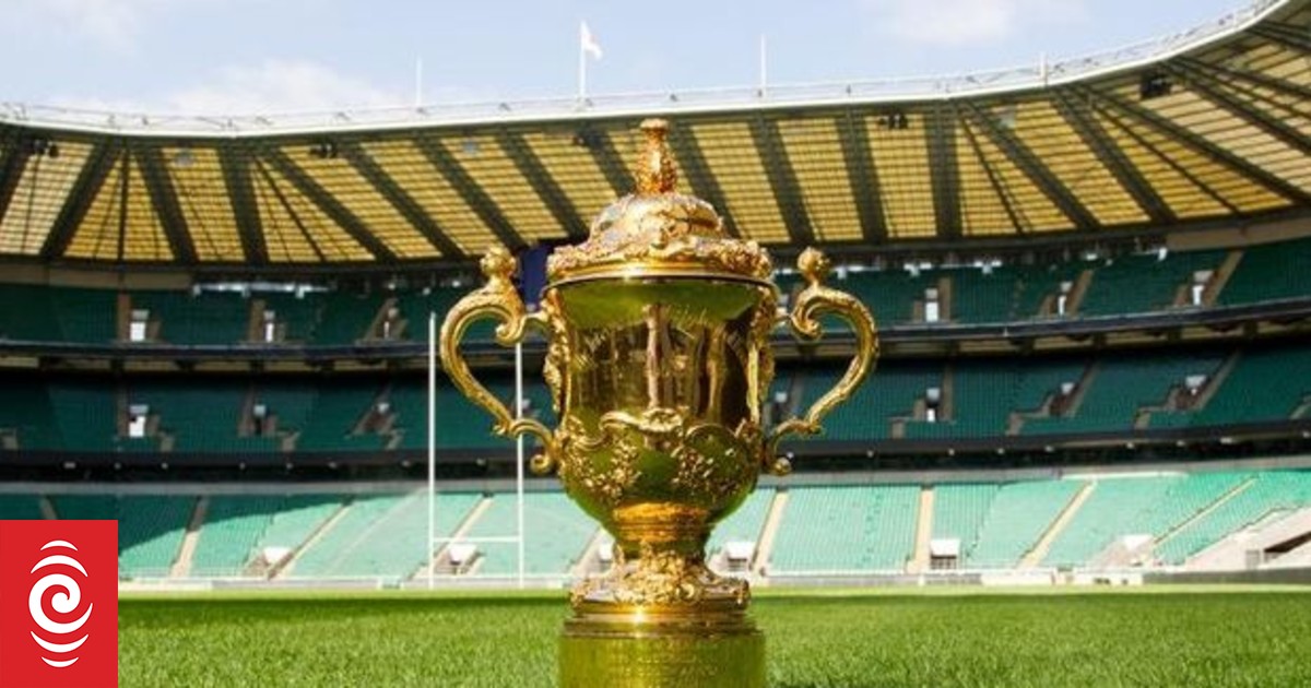 Rugby fan in court for abusing World Cup referee - Vimarsana News