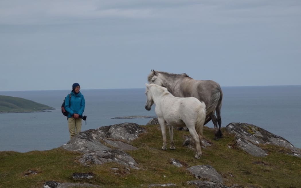 Ponies on Eriskay approaching Abby Letteri, 2023