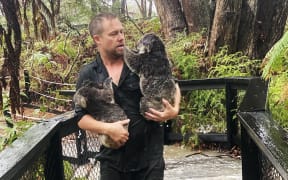 A staff member at the Australian Reptile Park in Somersby, 50km north of Sydney, carrying koalas during a flash flood.