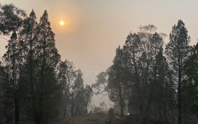 Sun rises over the bushland of Cooma hill resort, some 114 kilometres south of Canberra on January 4, 2020. -