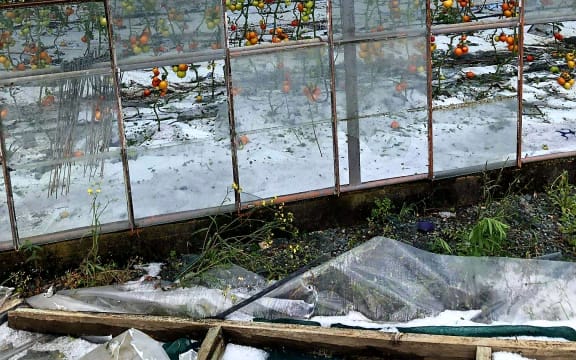 A twister moving through this glasshouse in Motueka forced those on site to shelter in a shipping container.