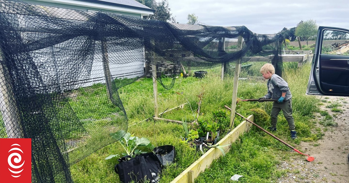 Donated plants bring colour to flood-hit Hawke's Bay gardens - Vimarsana News