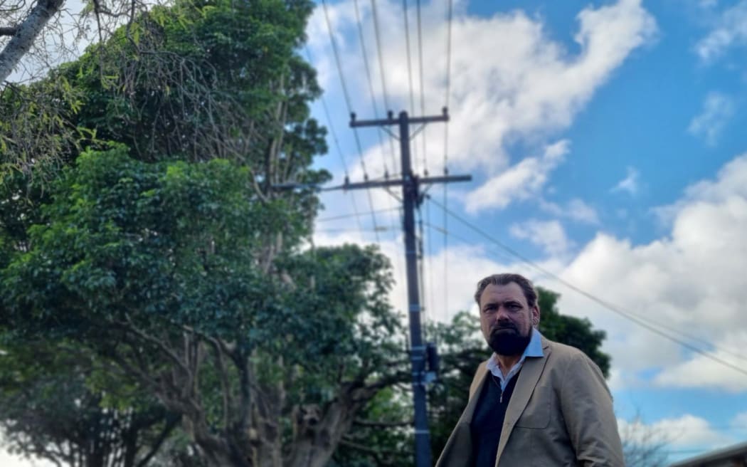 Michael Mansvelt says the selective pruning of puriri trees only metres away from the pōhutukawa are an example of good arbory practice.