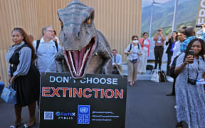 Members of Pacific Island Students Fighting Climate Change (PISFCC) stage a protest during the COP27 climate conference