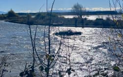 The stranded ute in the Waimakariri River.