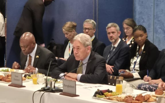 Winston Peters at UN