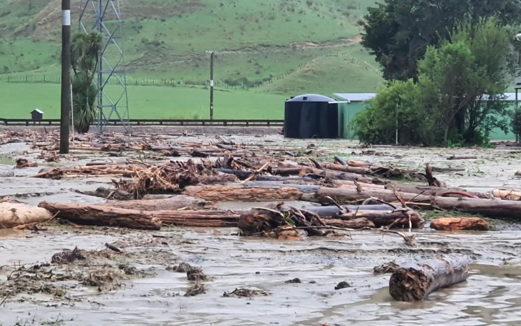 Logs brought down onto farmland in Tolaga Bay, Tairāwhiti, as flooding from Cyclone Gabrielle.