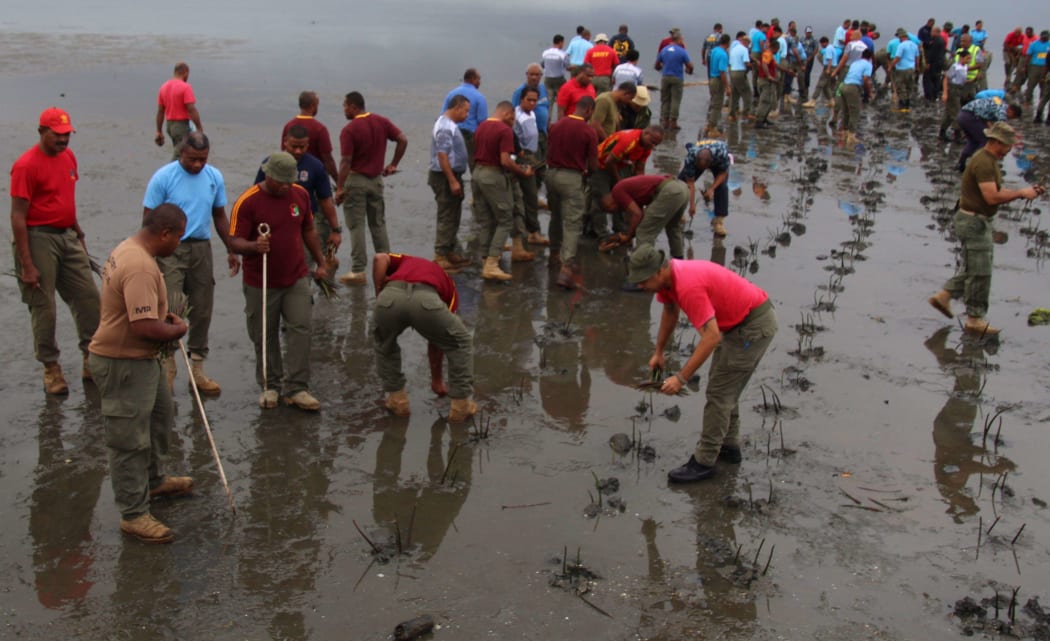 Fiji soldiers planting mangroves