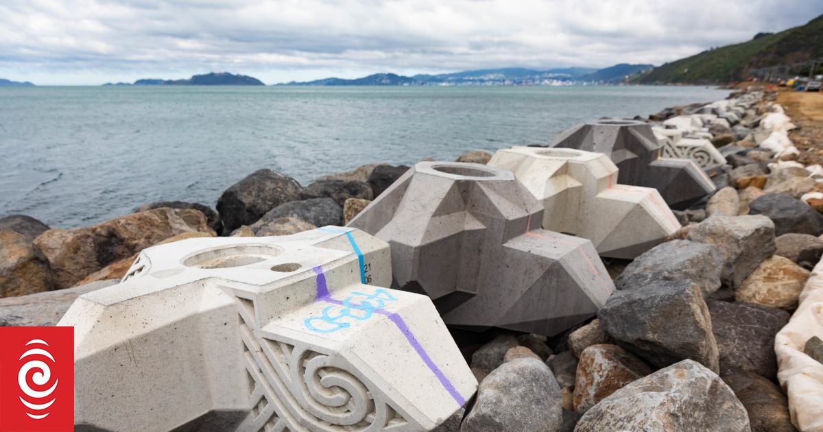 In pictures: Te Ara Tupua pathway for cyclists and pedestrians taking shape - Vimarsana News