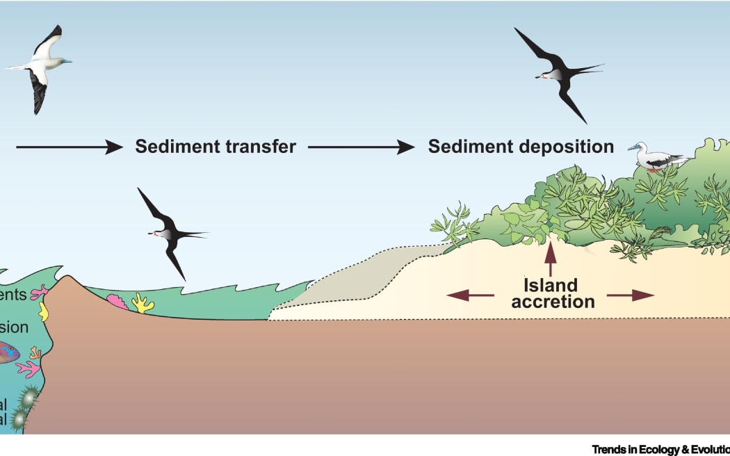 The process of atoll island accretion.