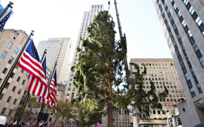 NEW YORK, NEW YORK - NOVEMBER 14: The Rockefeller Center Christmas Tree arrives at Rockefeller Plaza and is craned into place on November 14, 2020 in New York City.
