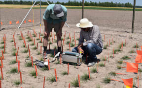 The trial site in the mid-west of the United States. Dr Luke Cooney (left) of AgResearch and using equipment that measures photosynthesis in the grass. 2017.
