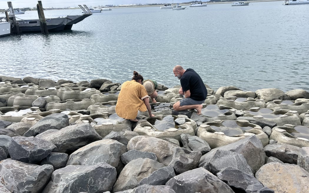 Three people kneel on a manmade rocky shoreline, looking into an artificial rockpool, on the edge of a calm harbour with boats moored in the background.
