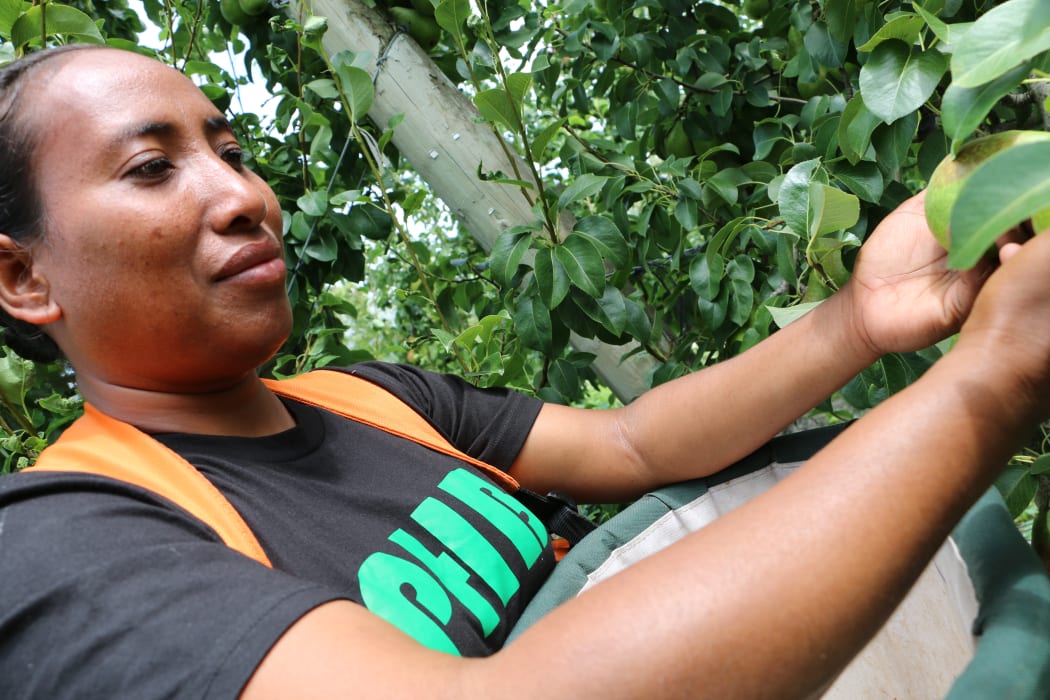 Janet Meimana at RJ Flowers Orchard.