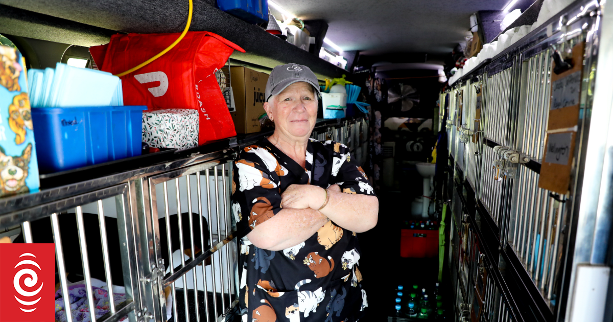 Paws on board: Inside the Pet Bus as it travels the country