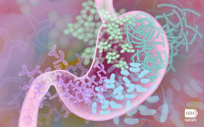 Beneficial Gut Bacteria