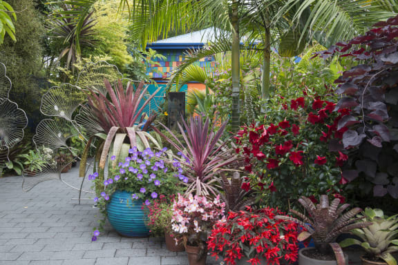 4m0afco gallery image 74164