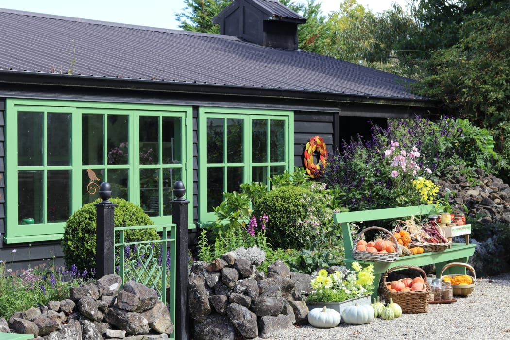 Lynda Hallinan's autumn garden