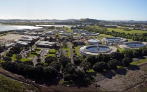 Mangere Water Treatment Plant