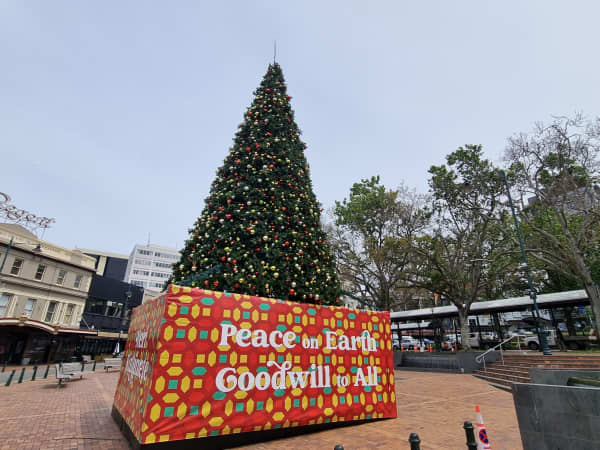 Dunedin's Christmas tree stands tall in the Octagon, bedecked in baubles and fairy lights.